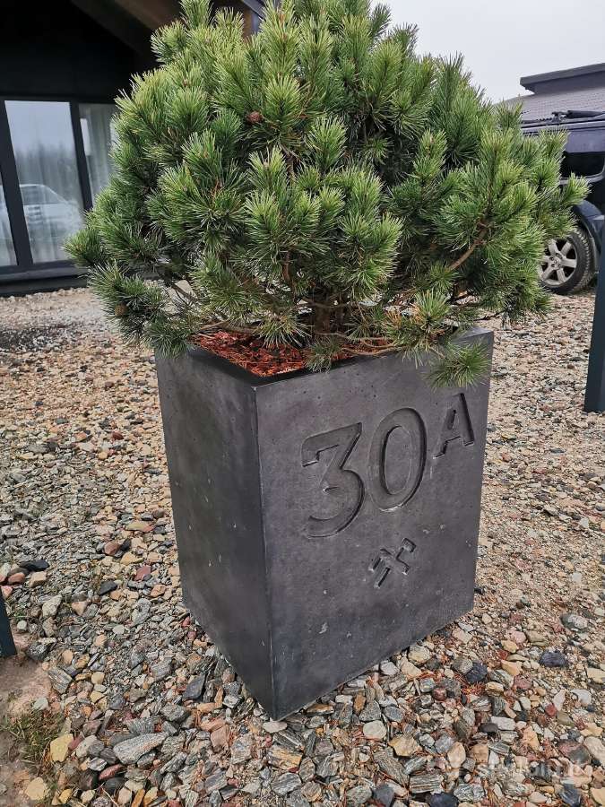 Betoniniai lauko vazonai - nuotraukos Nr. 7