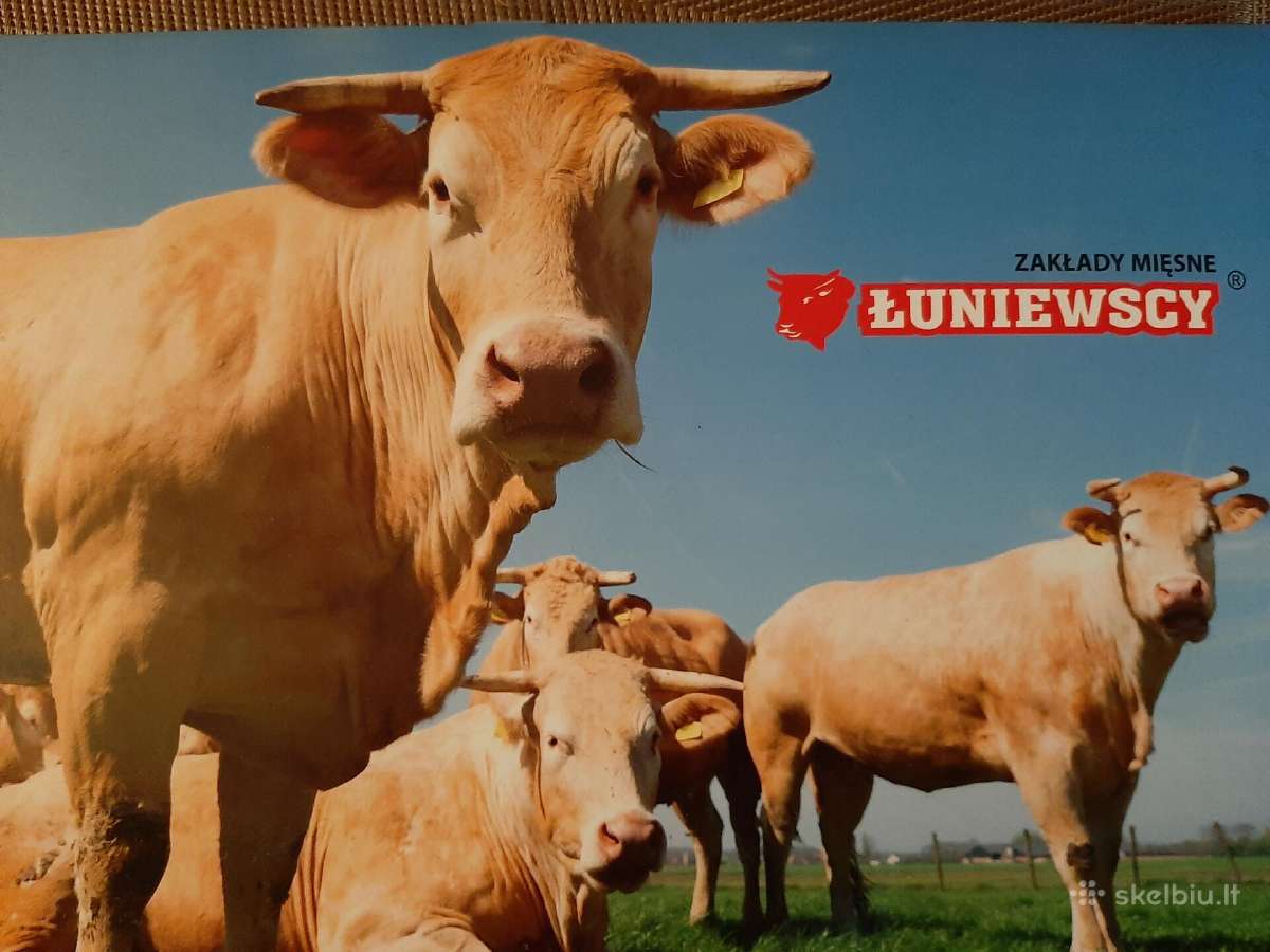 UAB Luniewscy LT perka gyvuliu - nuotraukos Nr. 2