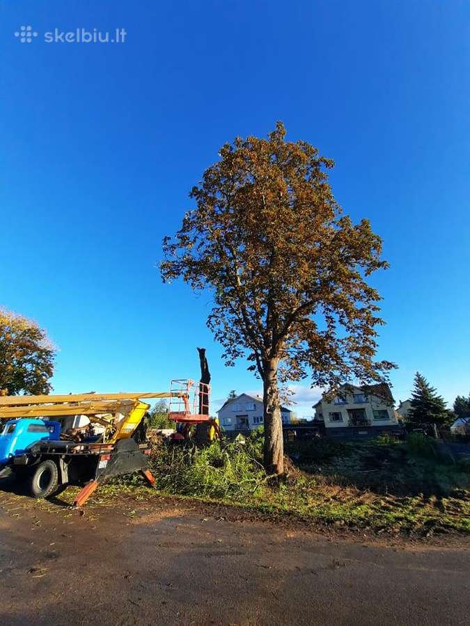 Atliekame įvairius kiemo, sodo darbus - nuotraukos Nr. 4