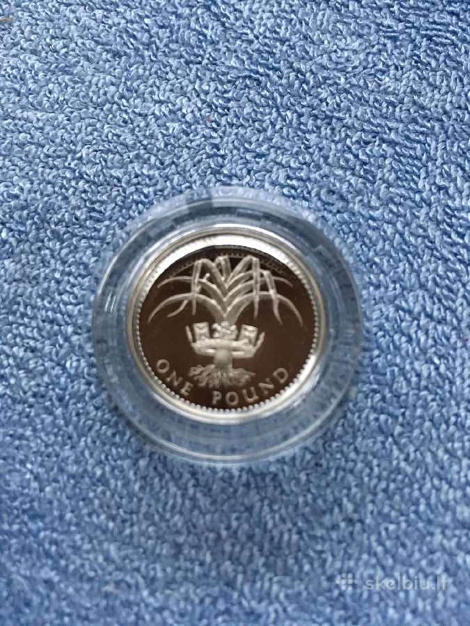 Moneta UK 1990m. 1 svaras, sidabras
