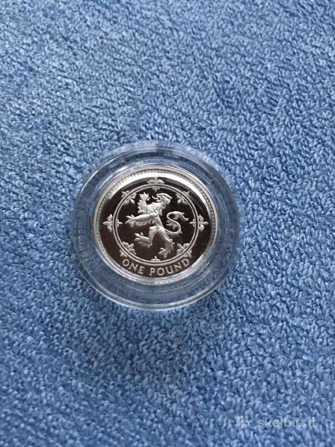 Moneta UK 1994m. 1 svaras, sidabras