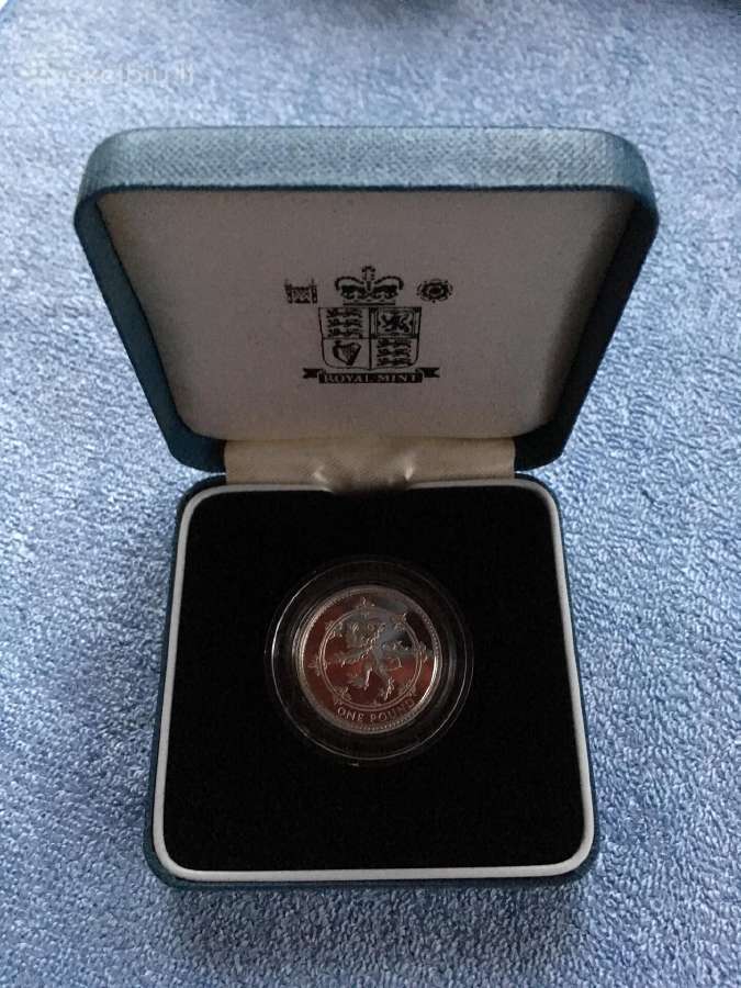 Moneta UK 1994m. 1 svaras, sidabras - nuotraukos Nr. 3