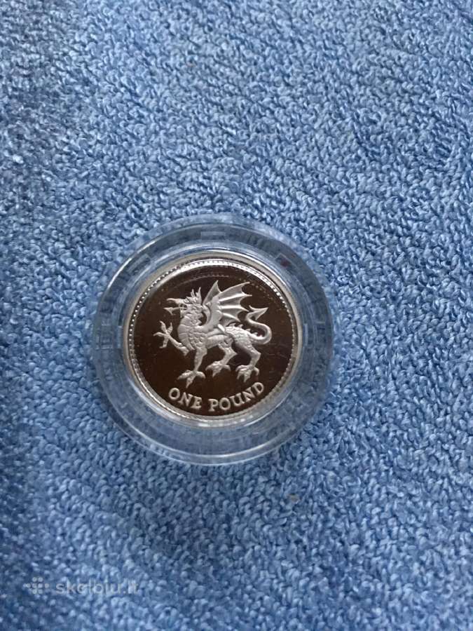 Moneta UK 1995m. 1 svaras, sidabras