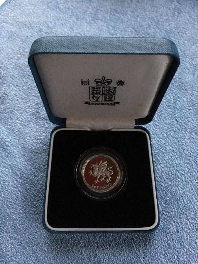 Moneta UK 1995m. 1 svaras, sidabras - nuotraukos Nr. 3