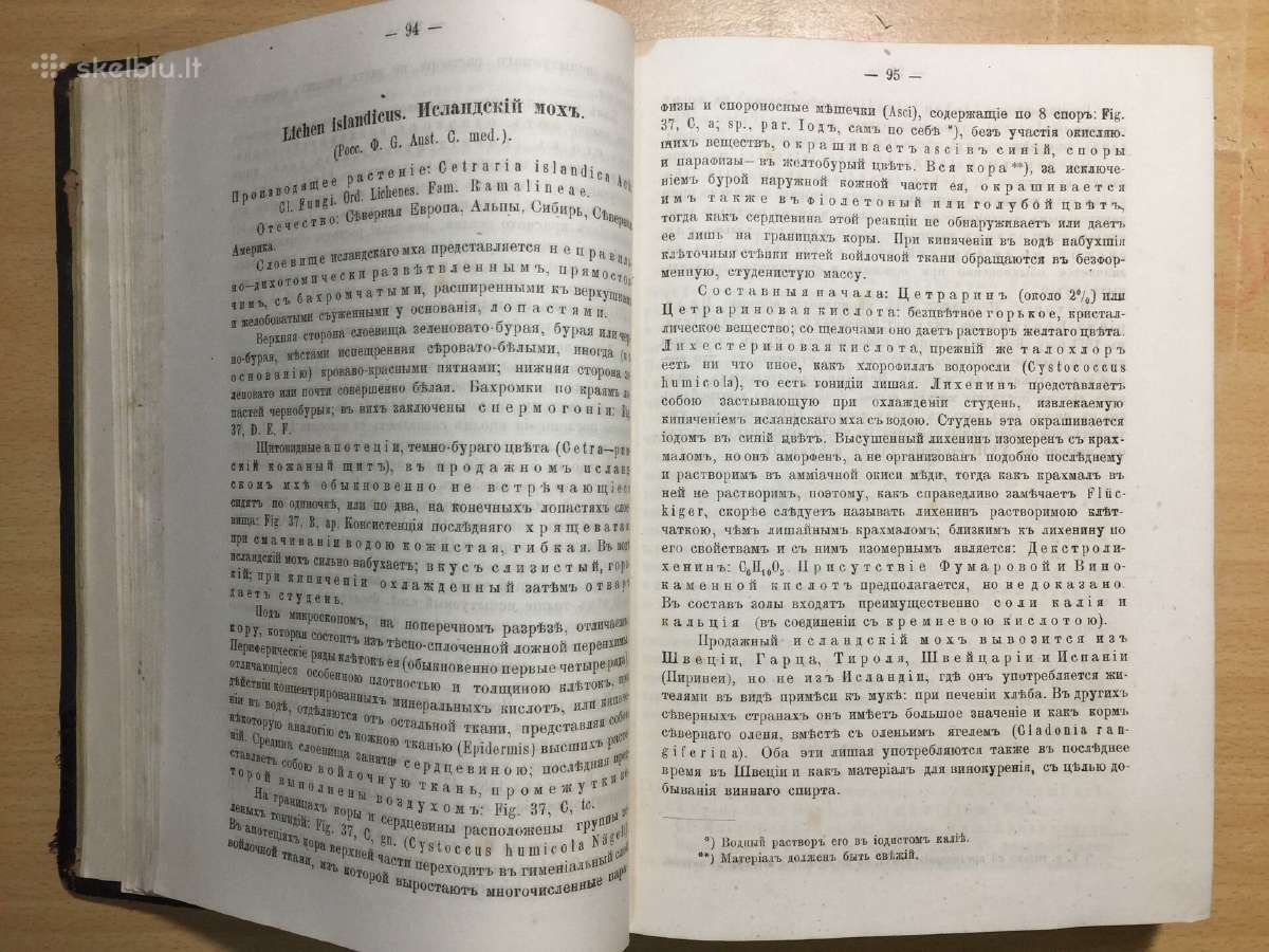 Фармакогнозия 1.к., В. Тихомиров, 1885 г. - nuotraukos Nr. 12