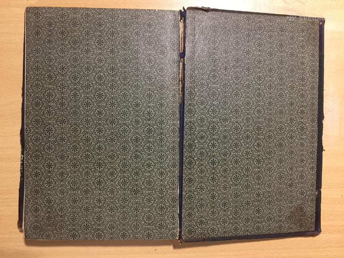 Основы фармакологии и рецептуры И.догеля, 1900 г. - nuotraukos Nr. 21