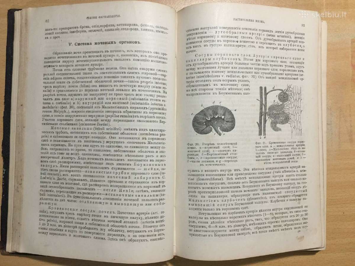 Основы фармакологии и рецептуры И.догеля, 1900 г. - nuotraukos Nr. 14