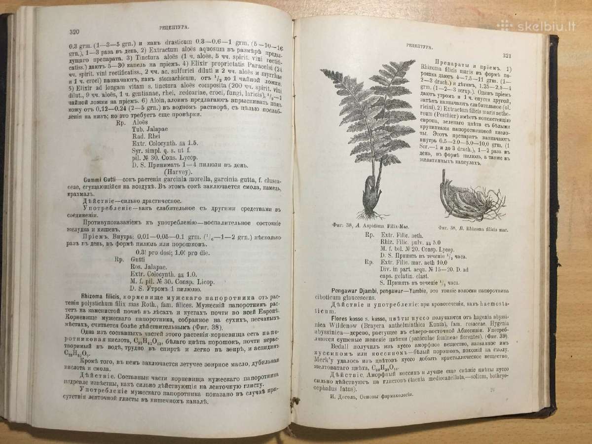Основы фармакологии и рецептуры И.догеля, 1900 г. - nuotraukos Nr. 16