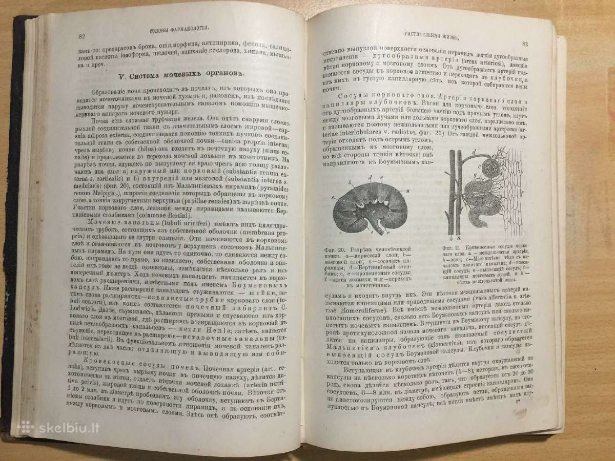 Основы фармакологии и рецептуры И.догеля, 1900 г. - nuotraukos Nr. 14