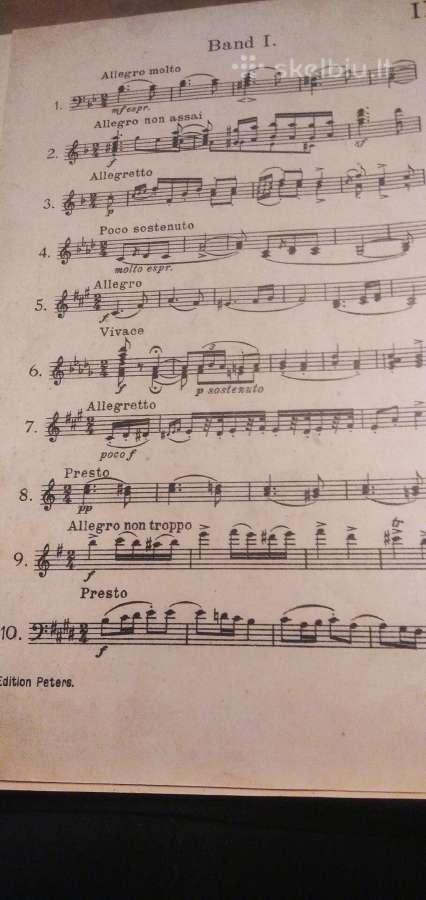J.brahms natos fortepijonui - nuotraukos Nr. 4