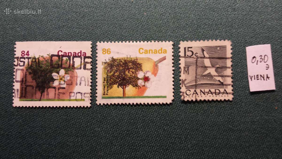 Kanada 197- m. - nuotraukos Nr. 2
