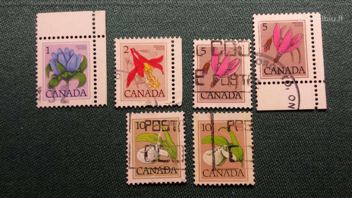 Kanada 1977 m.