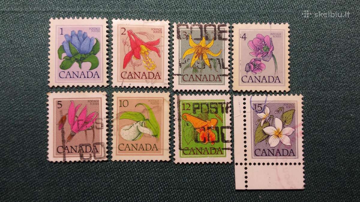 Kanada 1977 m.