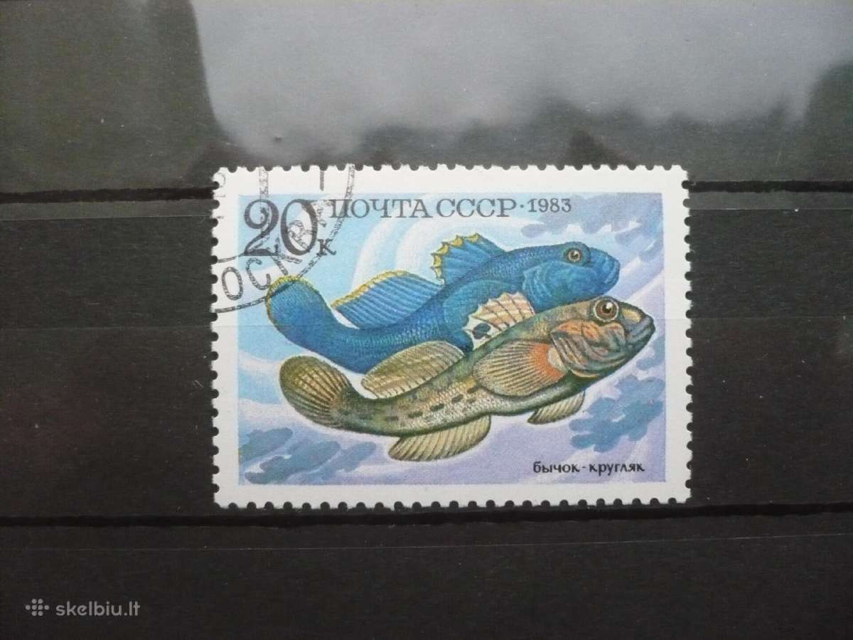 1983 m. Žuvis, apvalus gobas