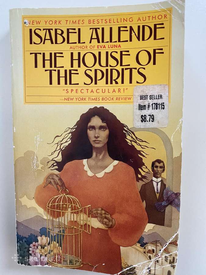 The House of the Spirits, Isabel Allende