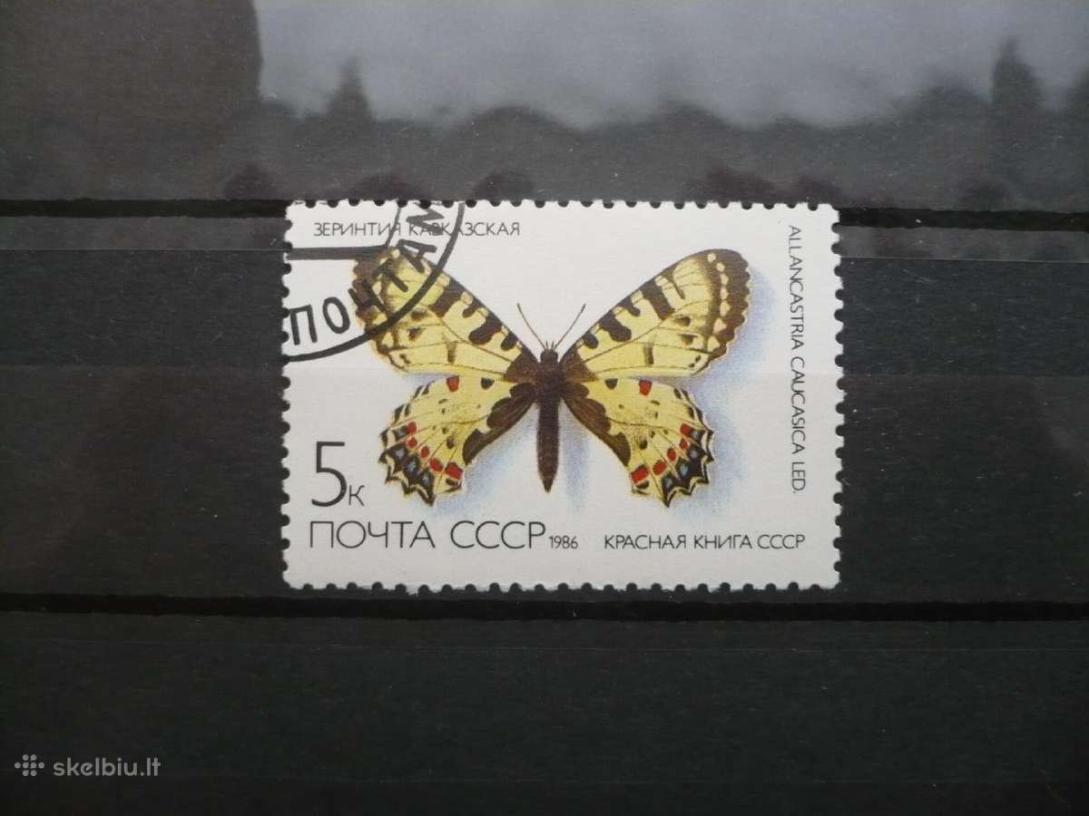 1986 Drugeliai ir kandys, Allancastria caucasica