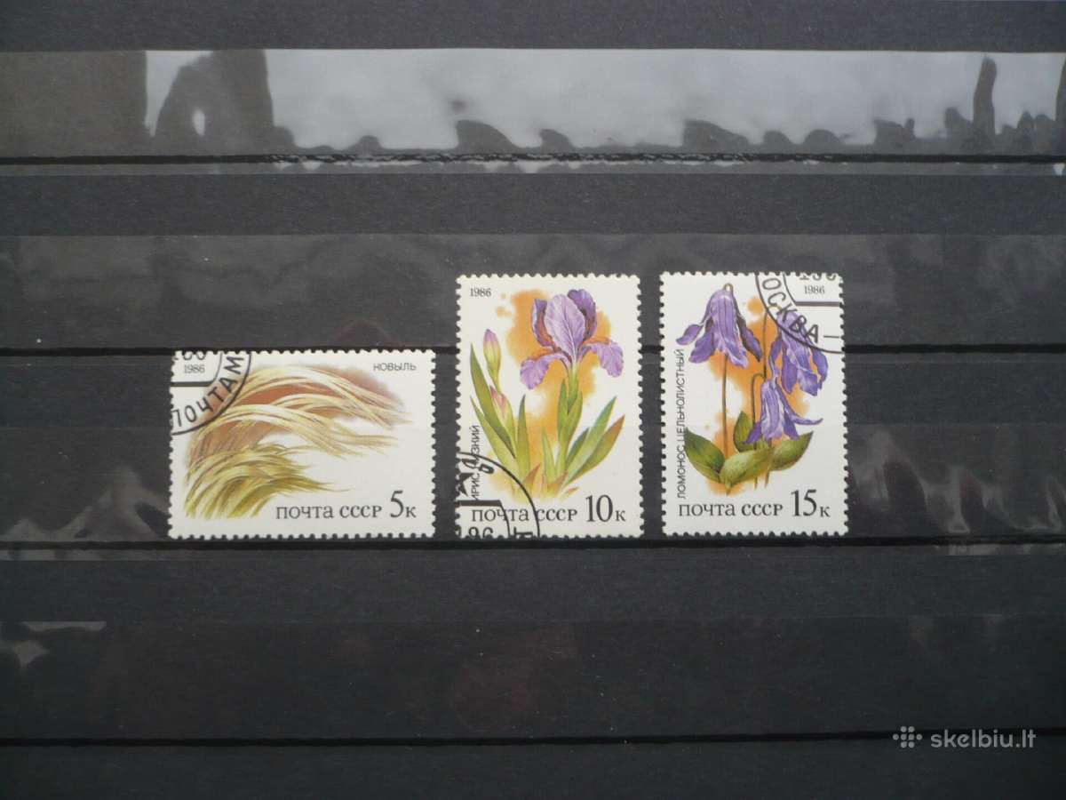1986 m. Rusijos stepių augalai