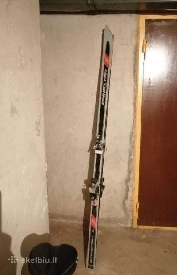 Dynastar slidės