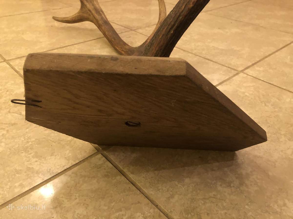 Elnio ragas su ąžuoliniu tvirtinimu. (~80 cm) - nuotraukos Nr. 3