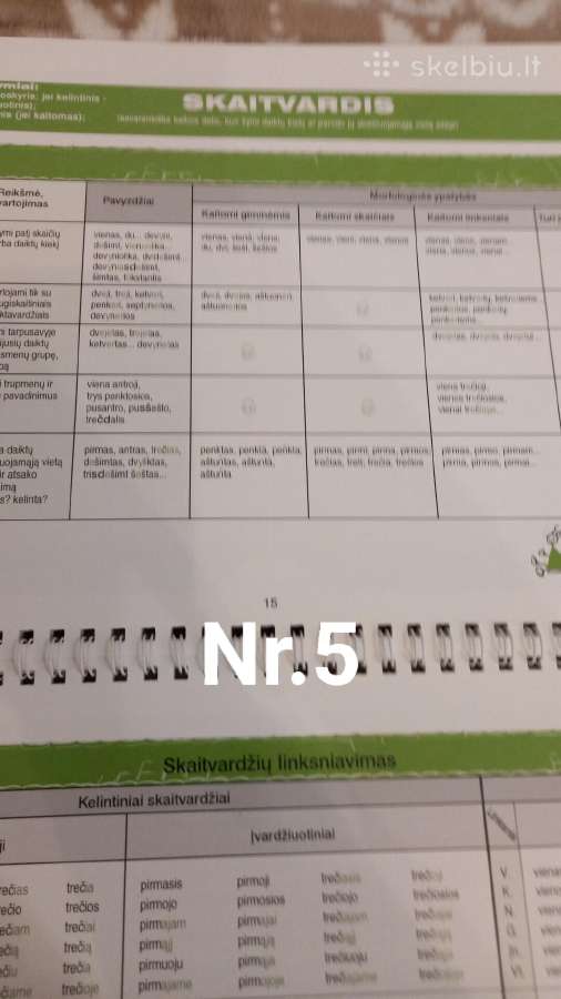 Pažink lietuvių kalbos dalis - nuotraukos Nr. 5