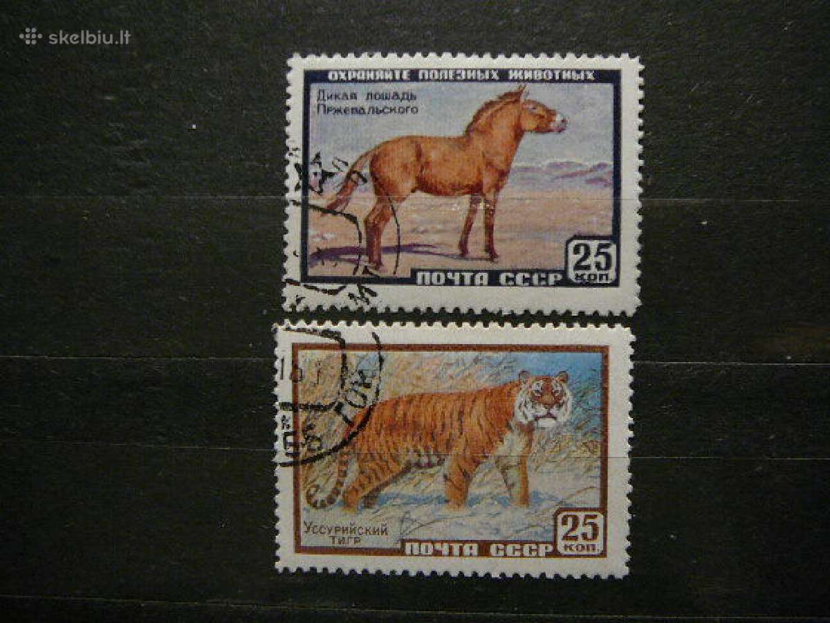Ssr 1959 Tigrai Arkliai antsp. a2275 - nuotraukos Nr. 2