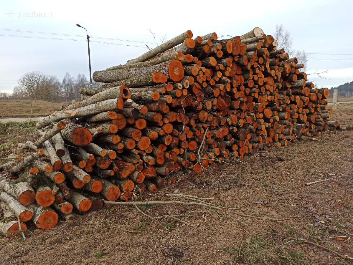 Malkos rąsteliais po 3 metrus, eglės rąstai po 6m - nuotraukos Nr. 10