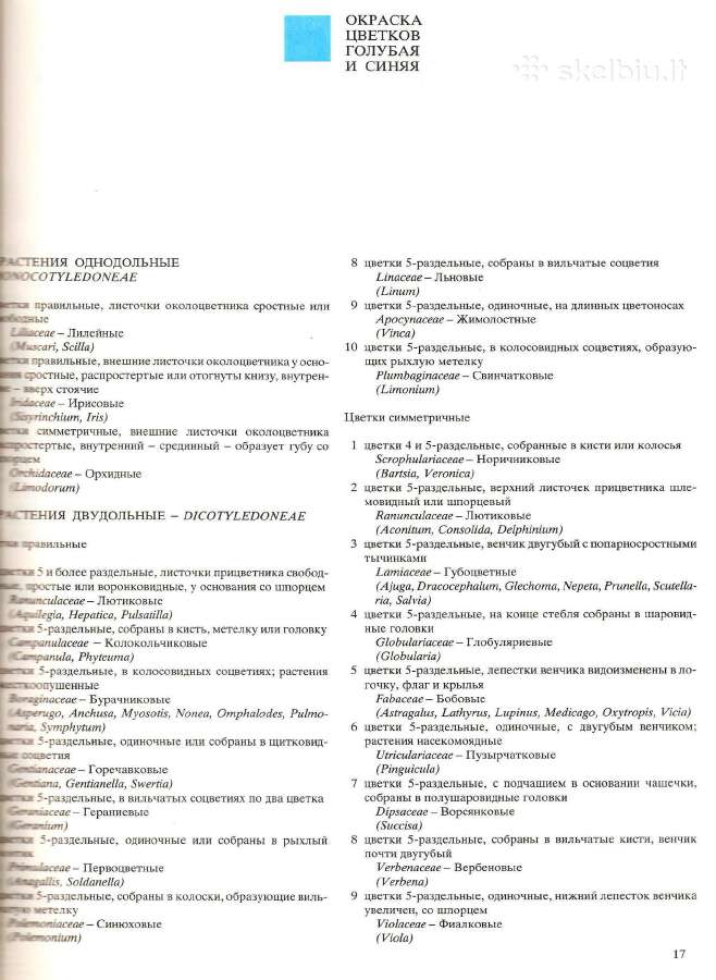 Augalų spalvotas Atlasas (Slovakija, rusu k.) - nuotraukos Nr. 3