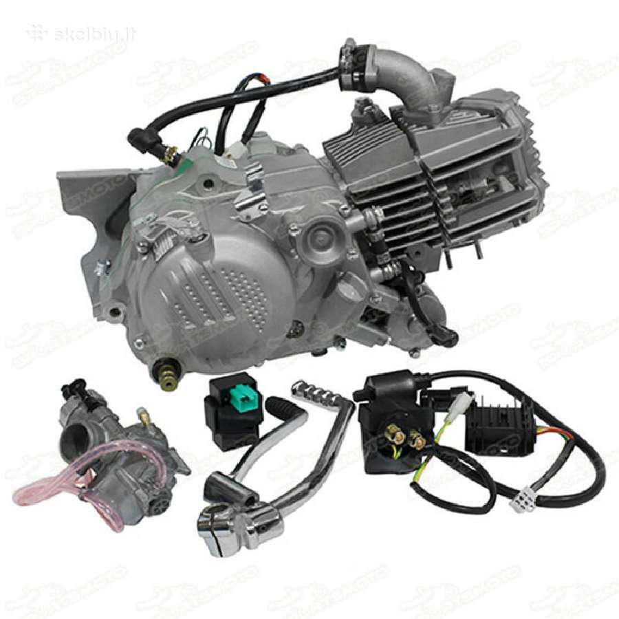 Variklis zs190