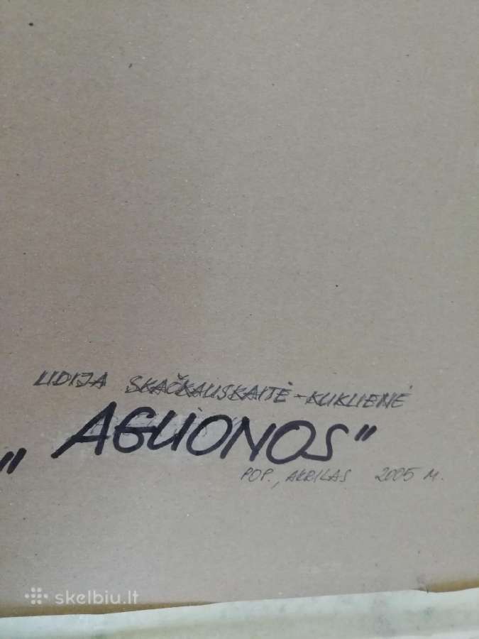 Aguonos - nuotraukos Nr. 2
