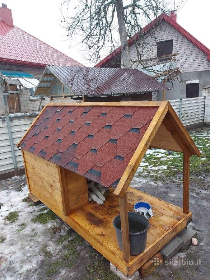 Parbuodu suns buda - nuotraukos Nr. 6