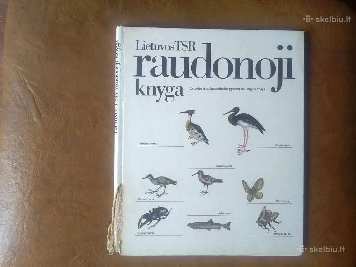 Raudonoji knyga