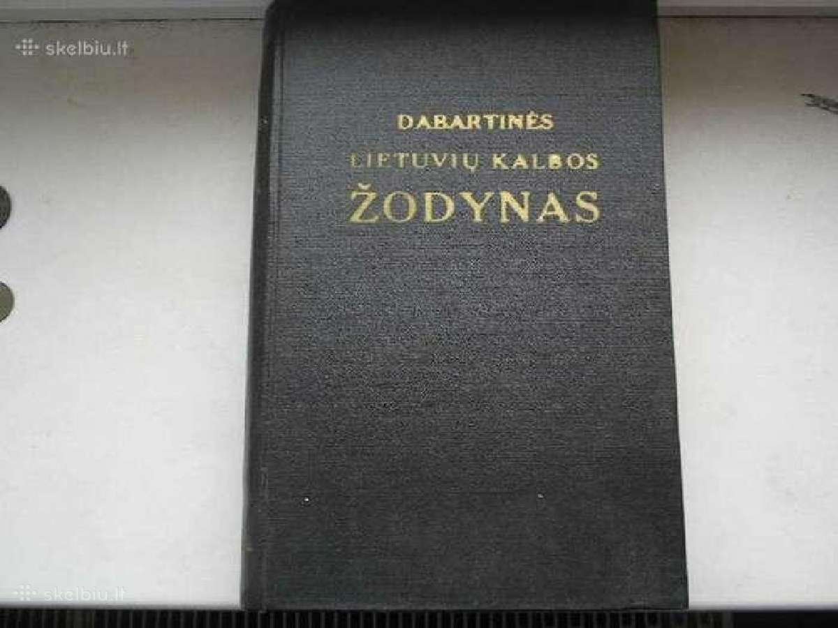 Zodynas