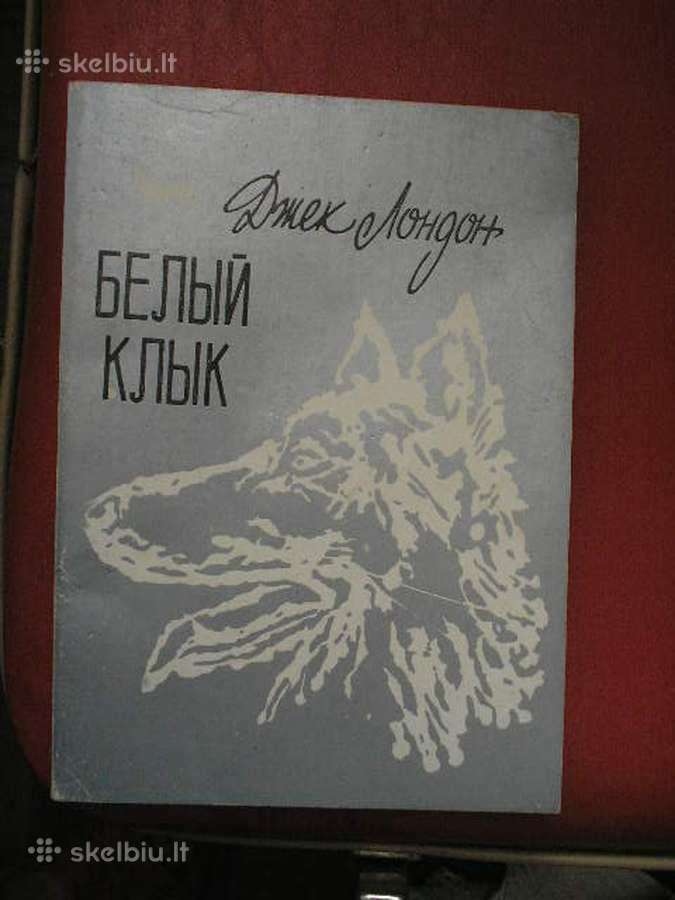 Baltoji iltis