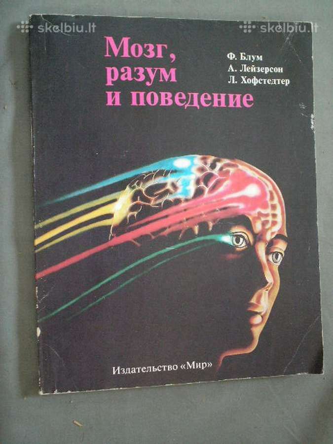 Smegenys ,protas ir elgesys