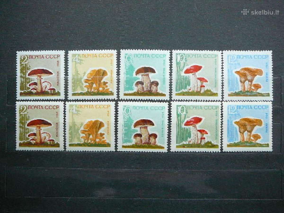 Ssr Grybai 1964 Mnh s2983xy