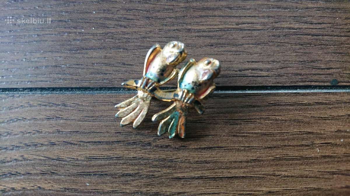 Grazi metaline Sage - papugeles Segtukas is metalo - nuotraukos Nr. 9