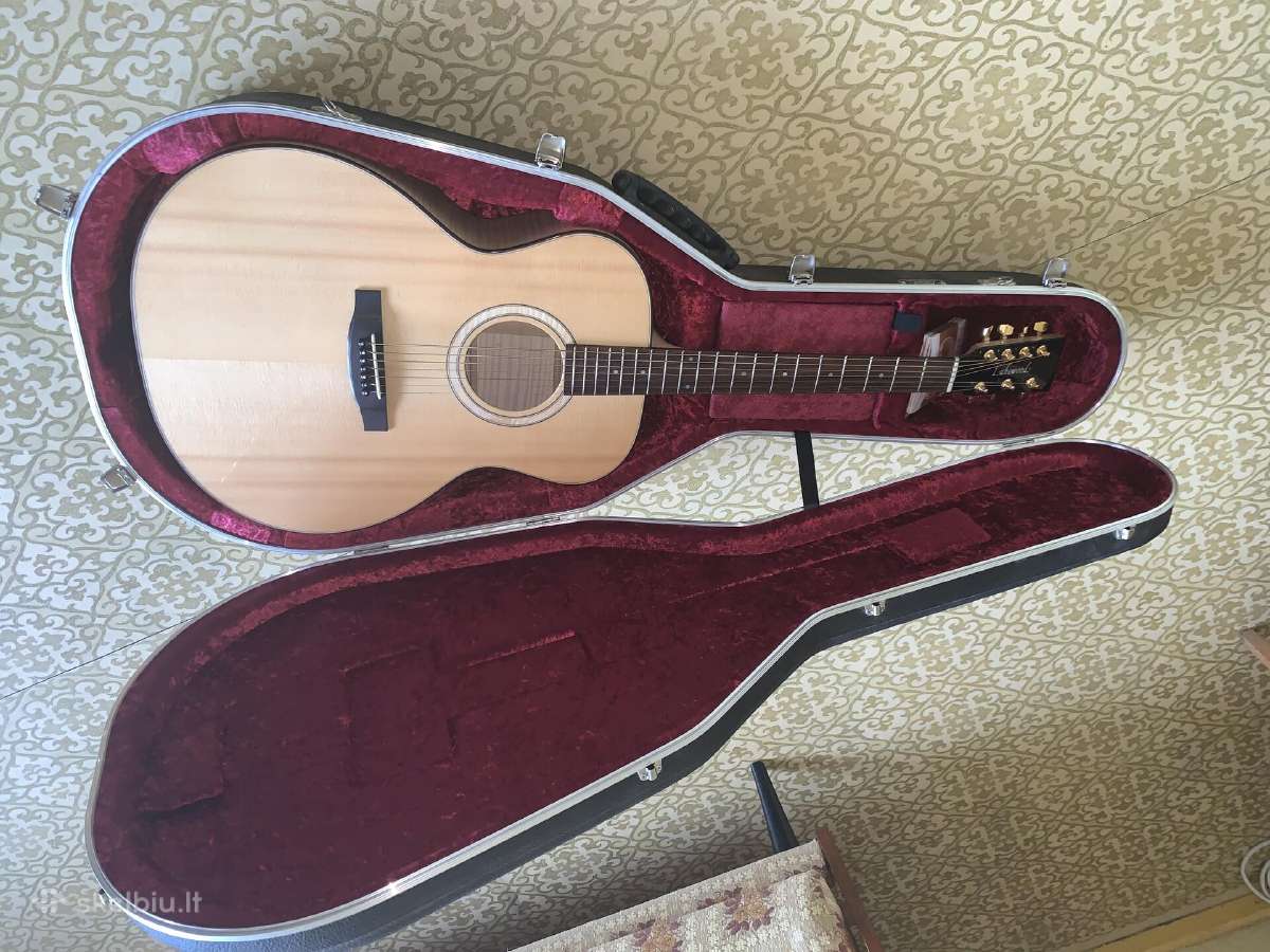 custom acoustic