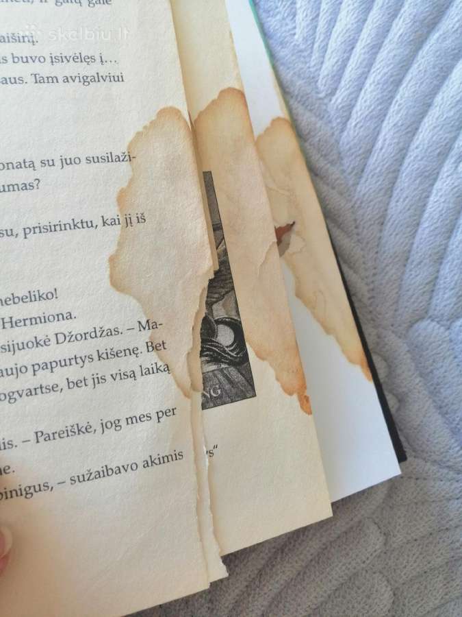 Haris Poteris ir Ugnies taurė - nuotraukos Nr. 5