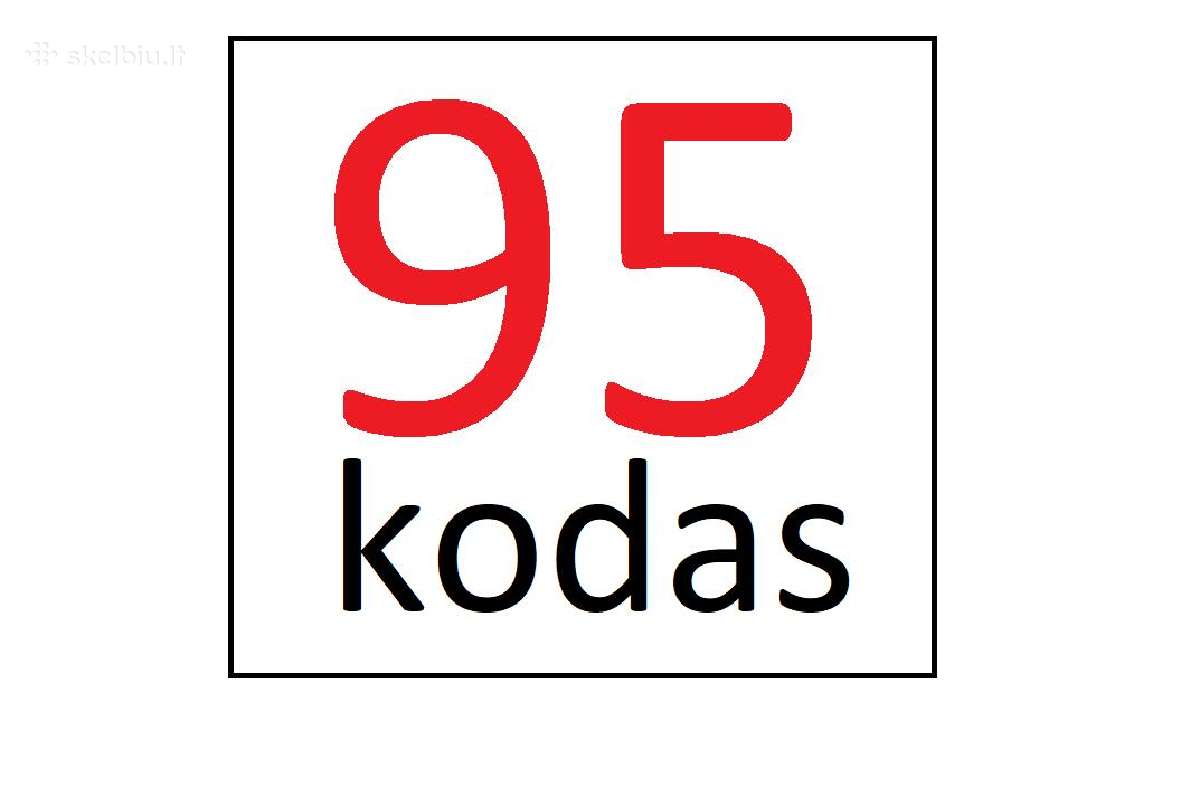 Eizos vairavimo mokykla - nuotraukos Nr. 15