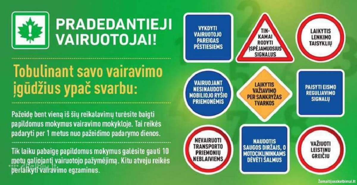 Eizos vairavimo mokykla - nuotraukos Nr. 13