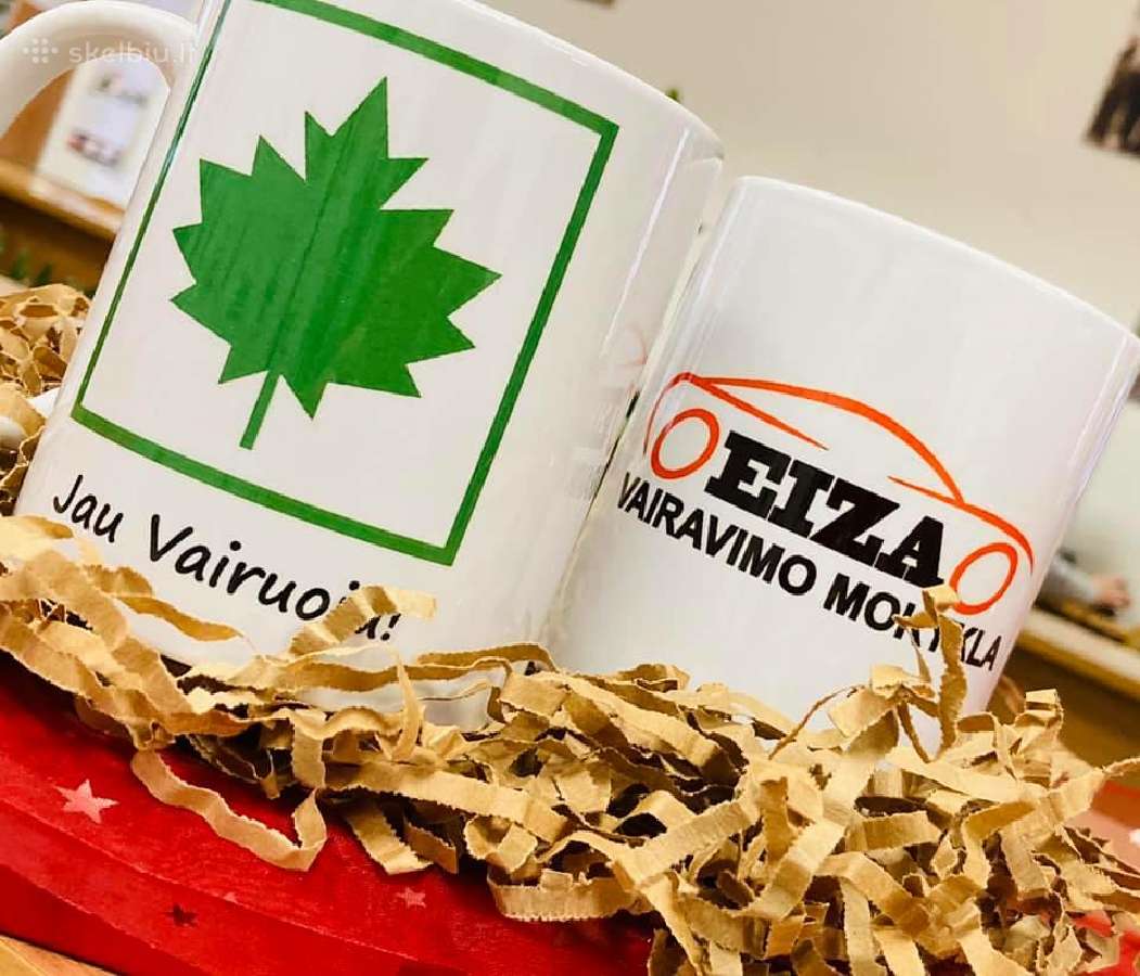 Eizos vairavimo mokykla - nuotraukos Nr. 4