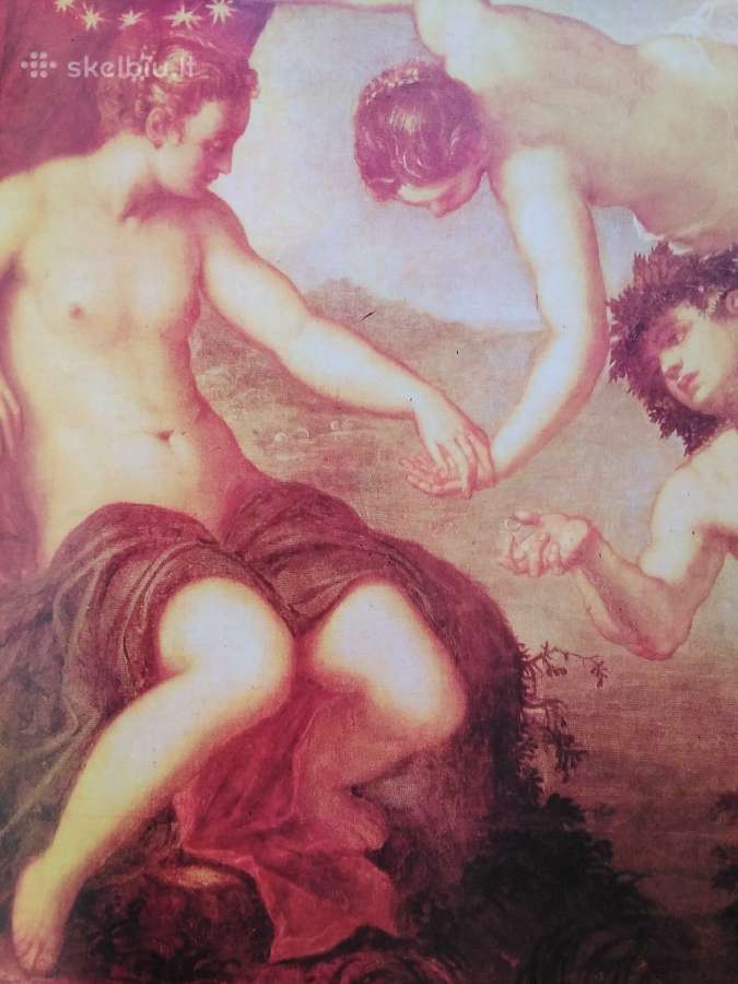 Tintoretto - nuotraukos Nr. 2