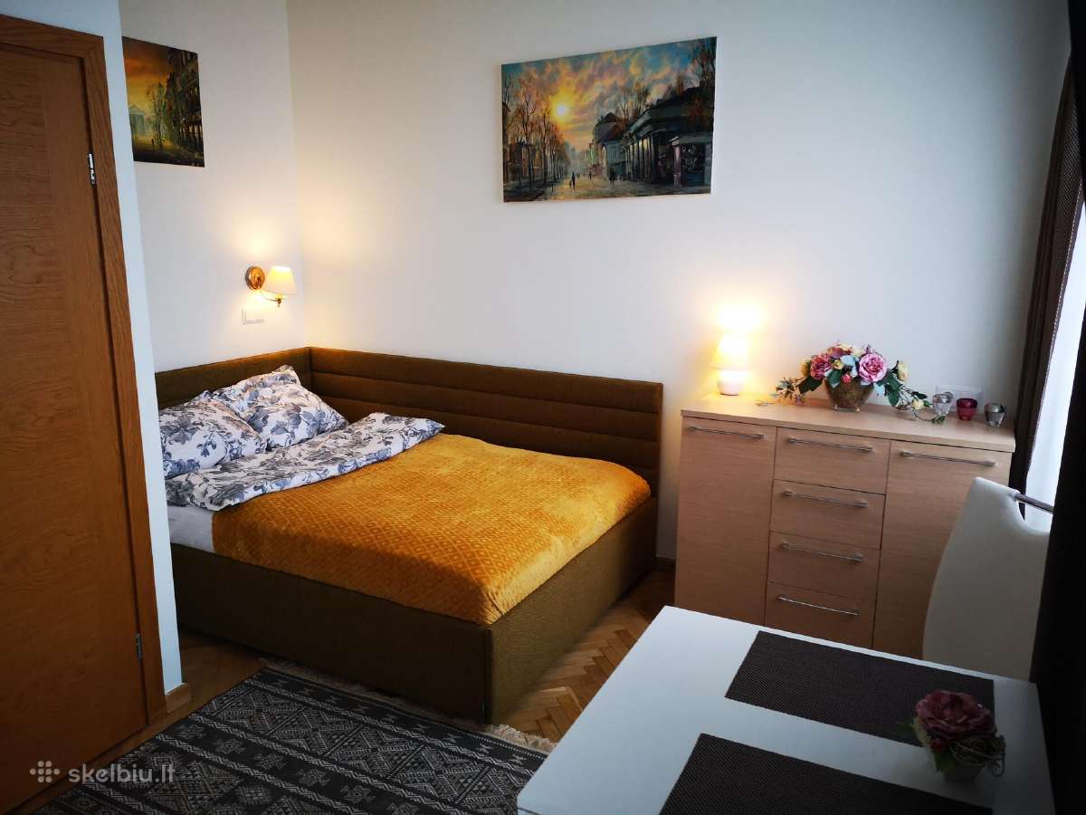Studiju nuoma šalia Kliniku (Lsmu) - nuotraukos Nr. 6