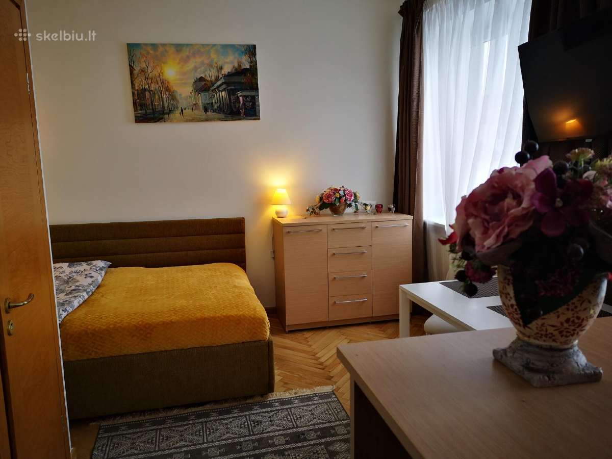 Studiju nuoma šalia Kliniku (Lsmu) - nuotraukos Nr. 7