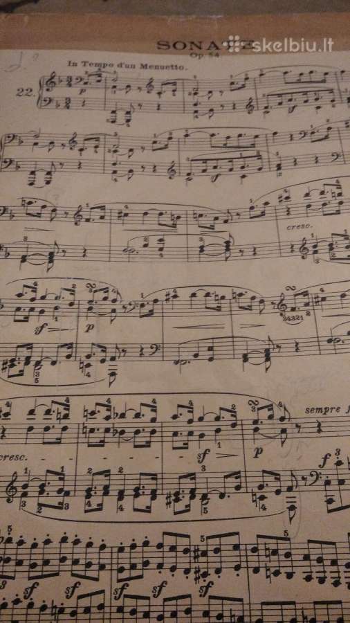 L.bethoveno Sonata fortepijonui - nuotraukos Nr. 2