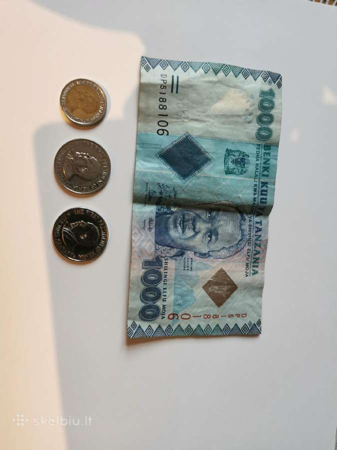 Tanzanijos pinigai