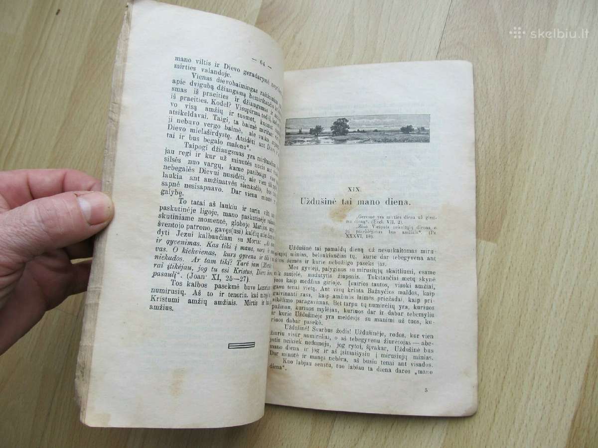 Mirties Akyvaizdoje , 1913 - nuotraukos Nr. 3
