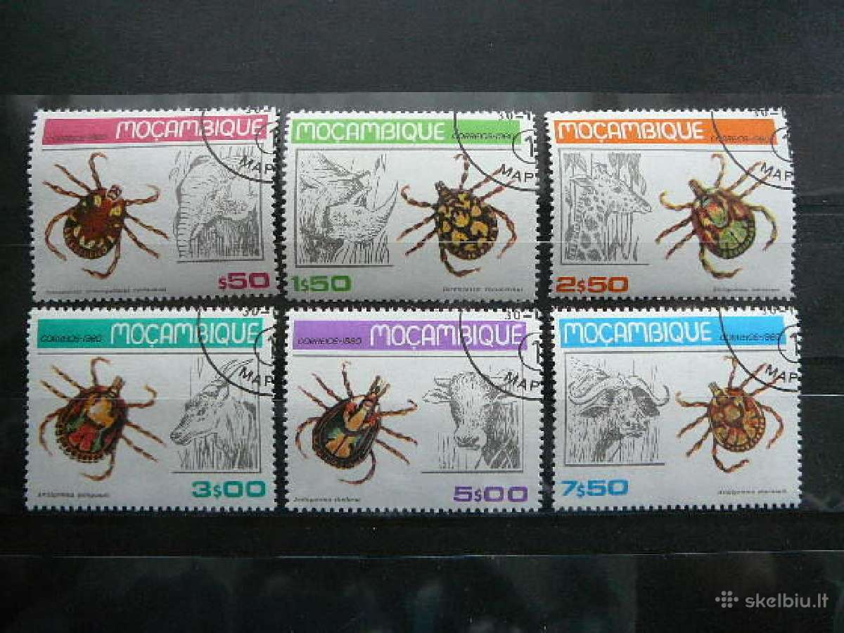 Erkes Zverys Mozambikas 1980 antsp. vok744