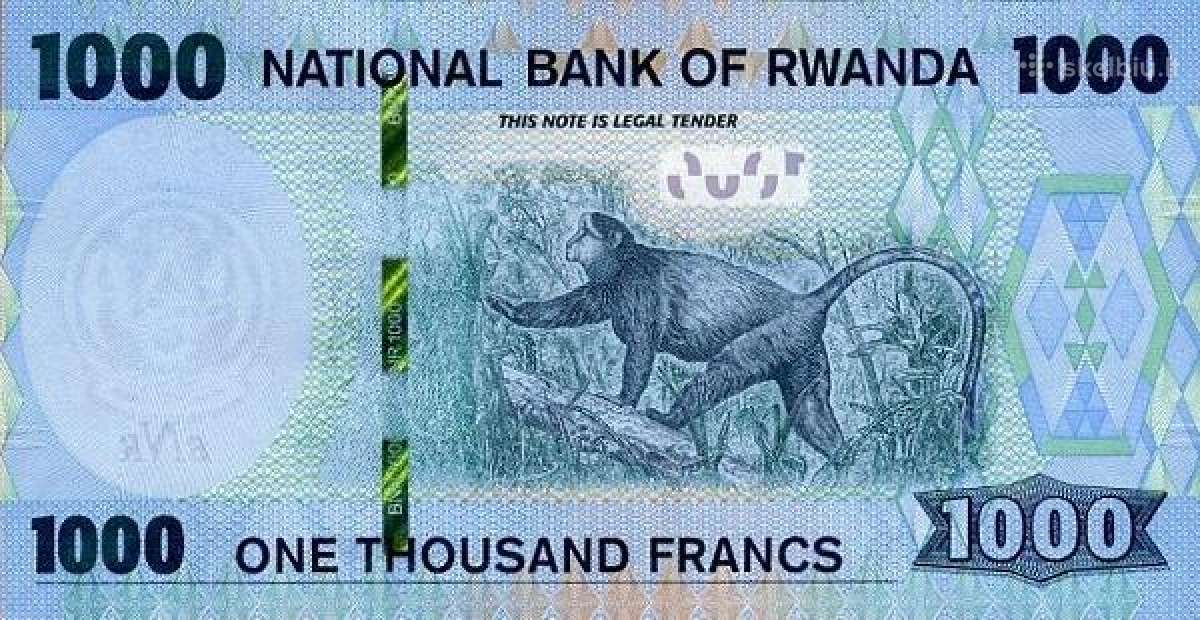 Ruanda 1000 francs 2019m P39 Unc - nuotraukos Nr. 2