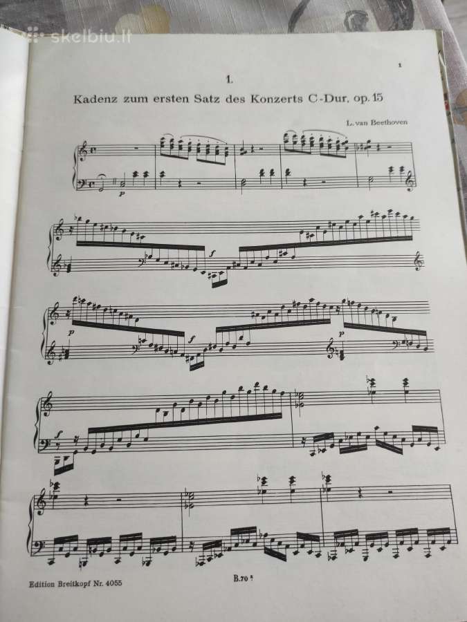 L.bethoveno kadencijos fortepijonui - nuotraukos Nr. 3